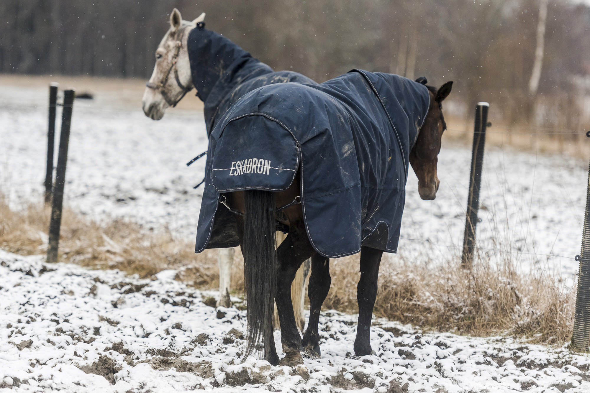 Escadron2ridsport-tackestest-138