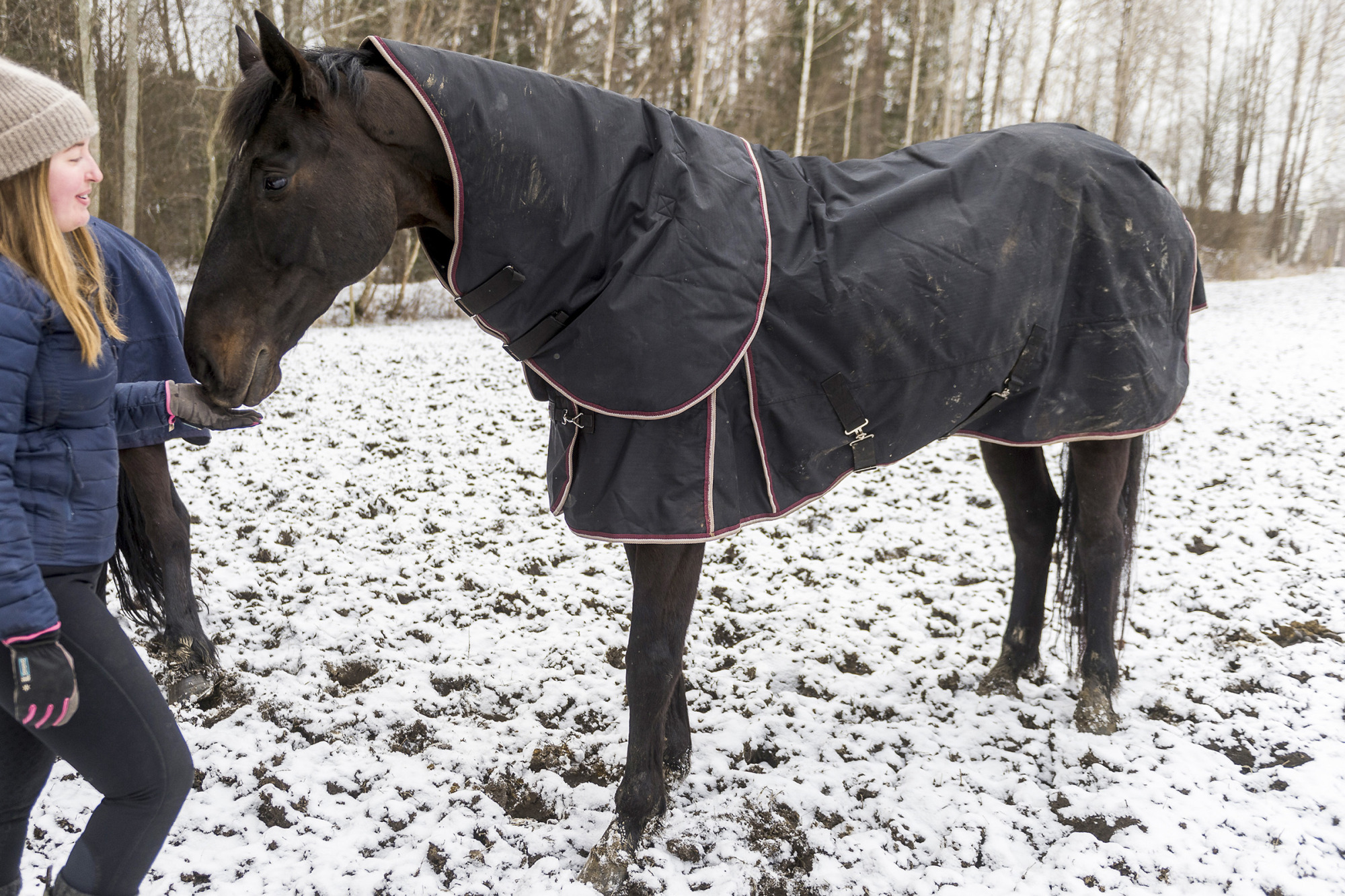 Fairfieldridsport-tackestest-121