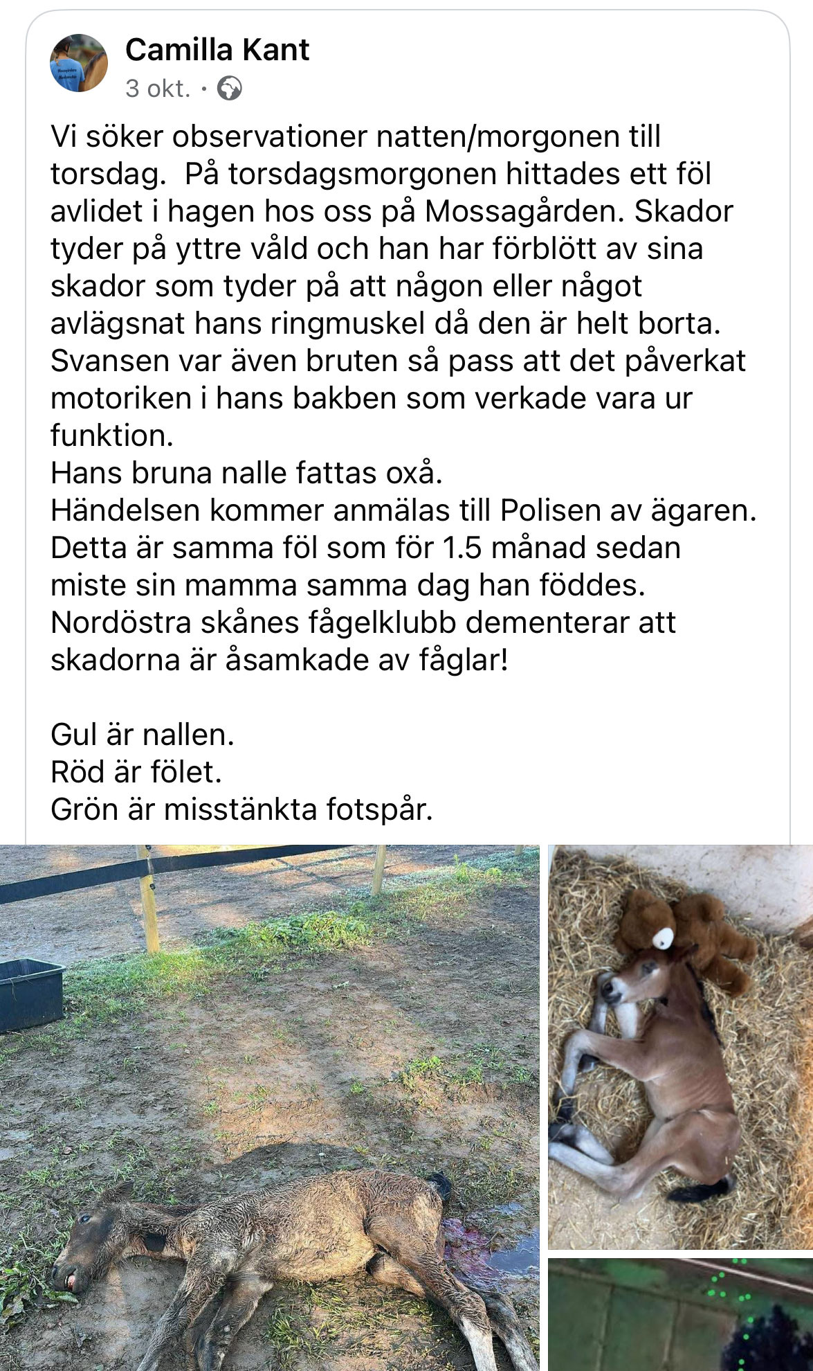 Fb_inlagg