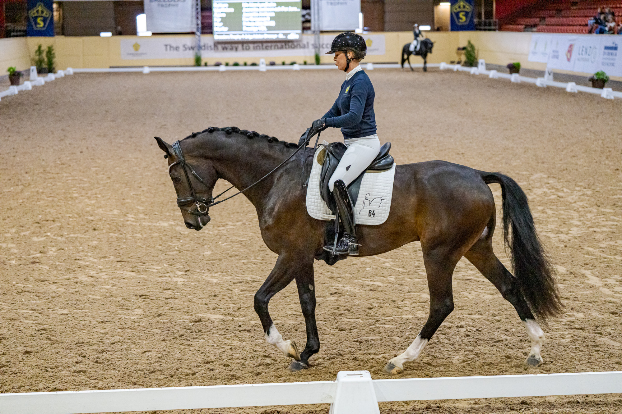Swb Equestrian Weeks 2025
