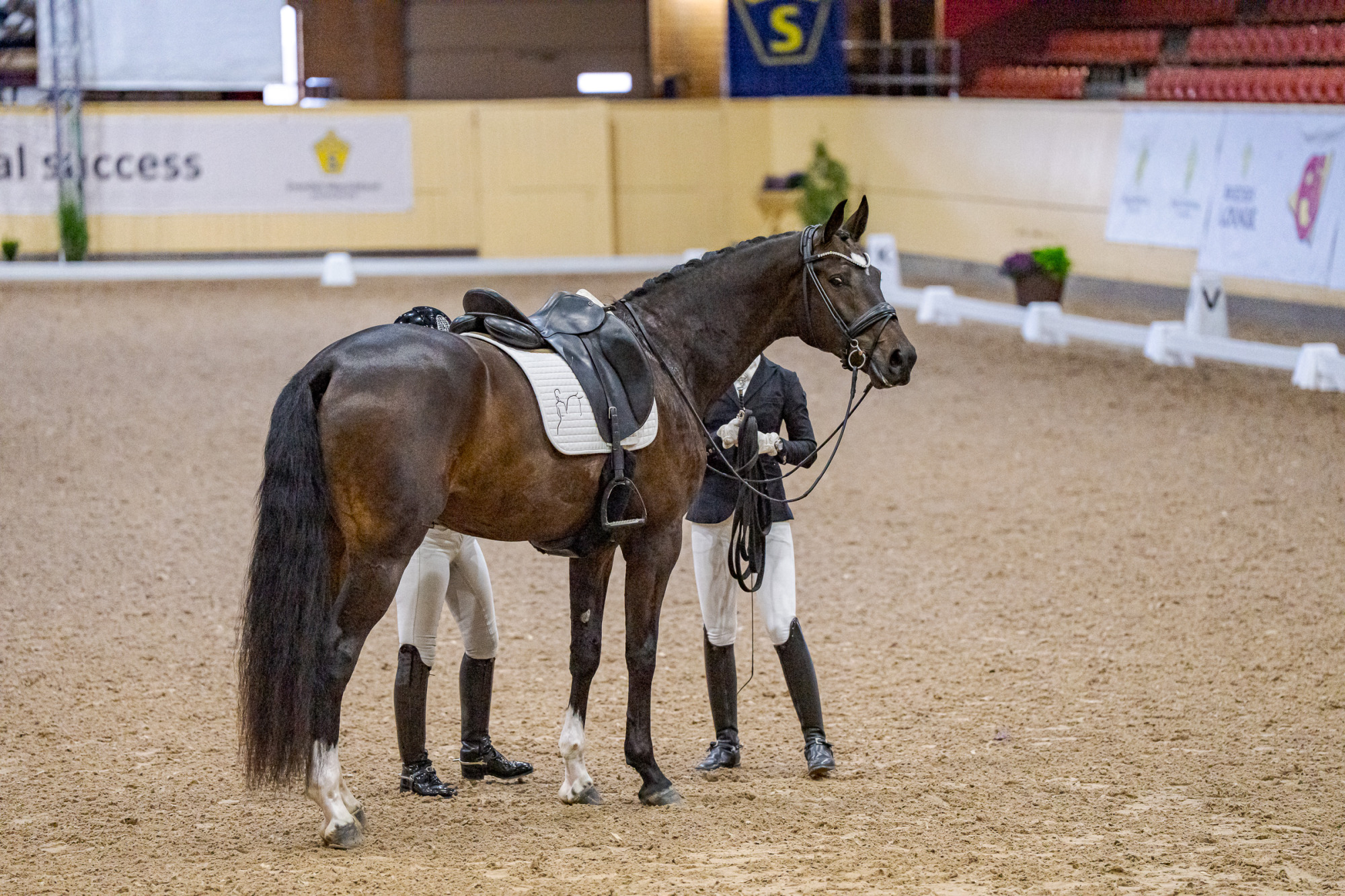 Swb Equestrian Weeks 2025