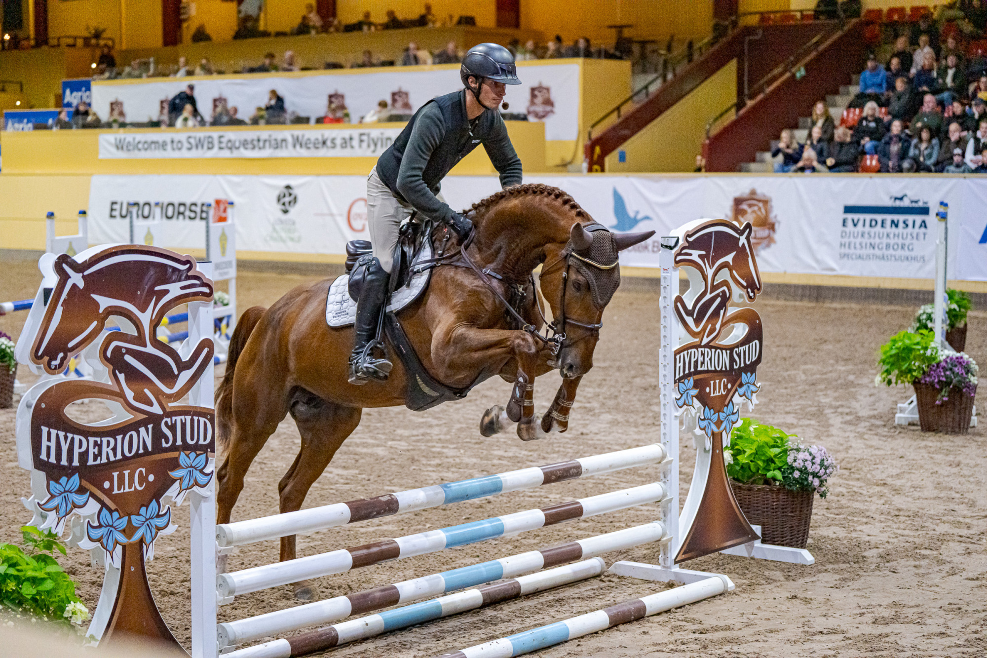 Frida Karlsson Aztella Star Jl