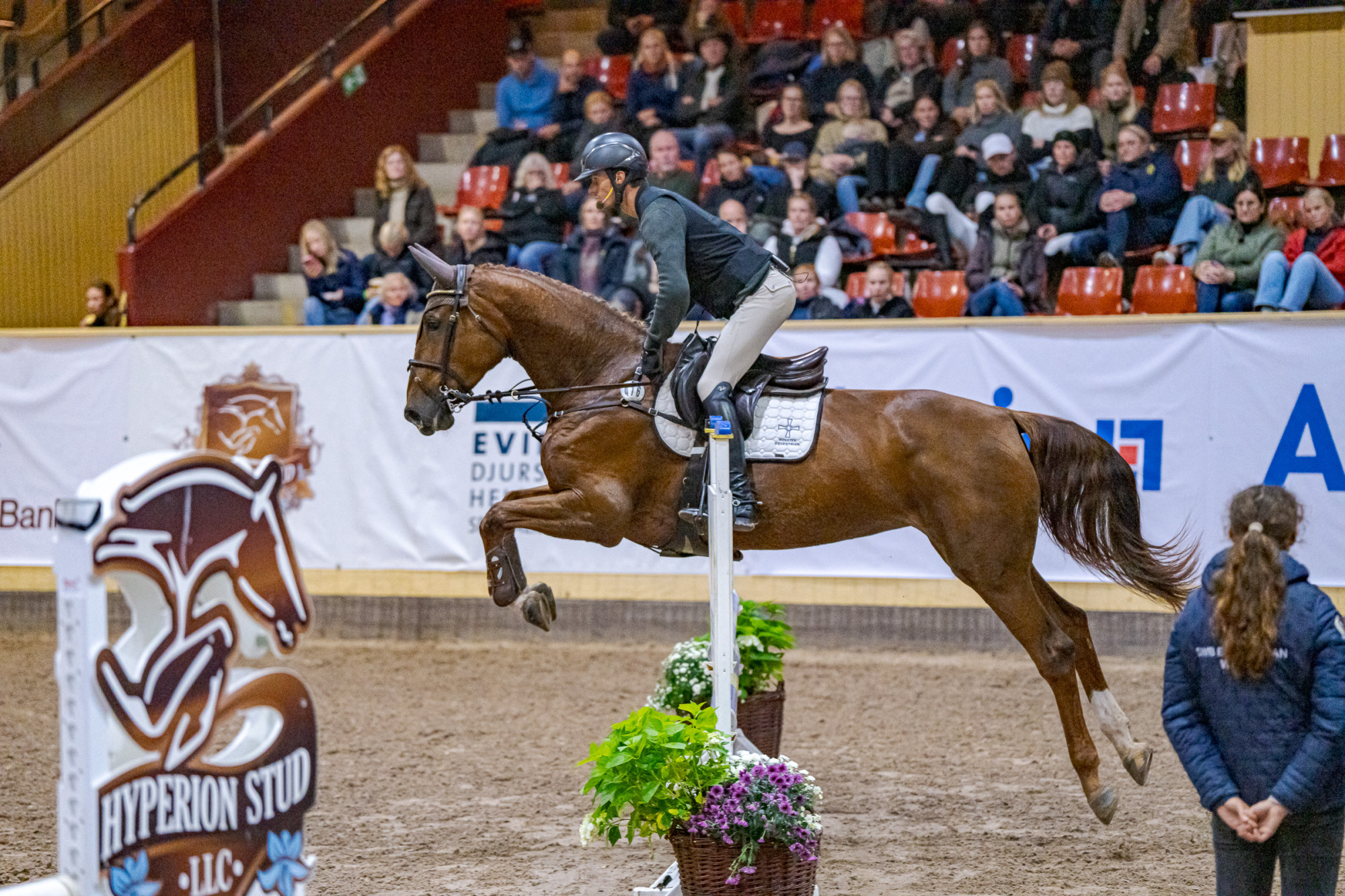 Frida Karlsson Aztella Star Jl