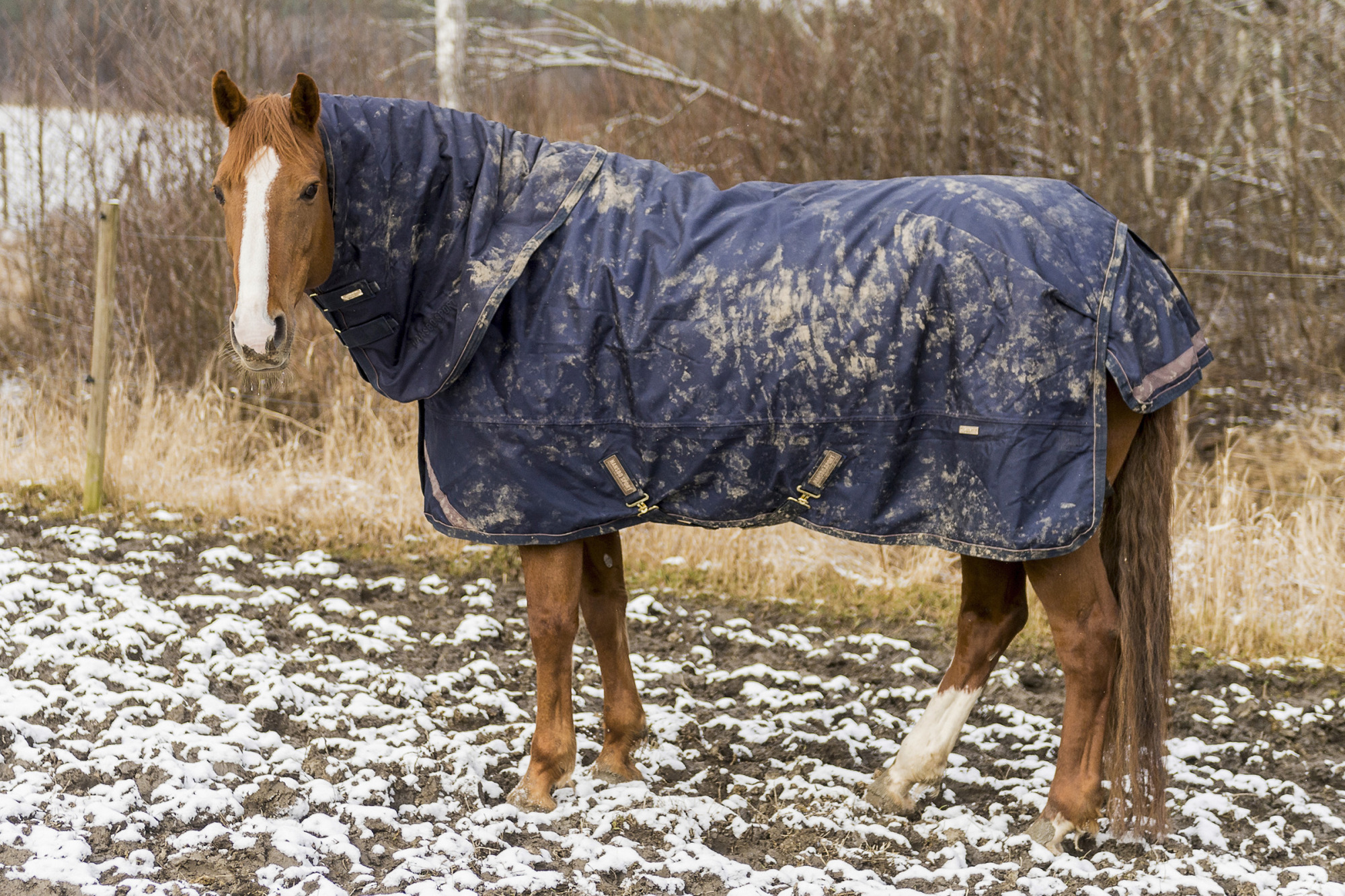 Hansboridsport-tackestest-104