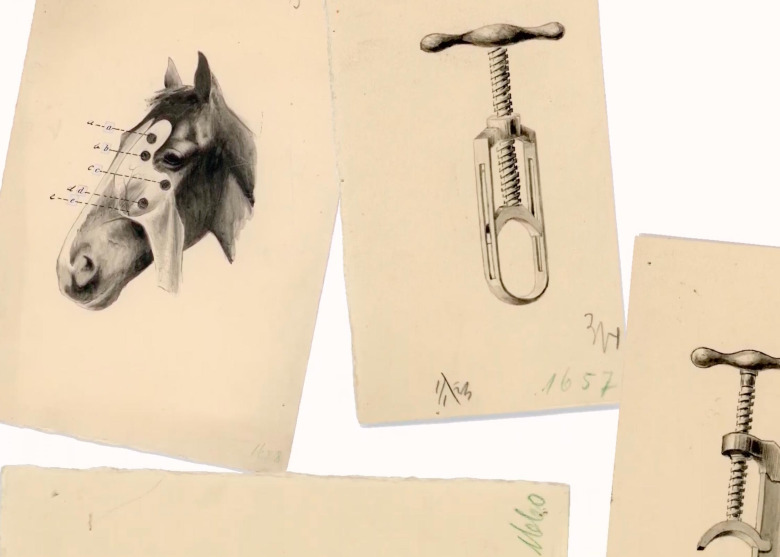 Från hästkirurgi till abstrakt konst – Hilma af Klints okända sida