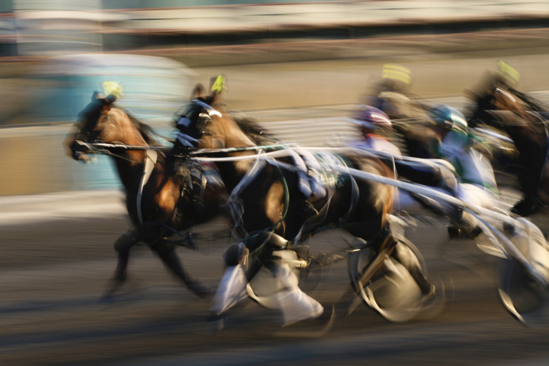 Daniel Enestubbe: ”Hästvälfärd – viktigare än bettingvälfärd”