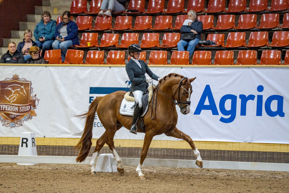Favoritseger i Breeders 6-årsfinal