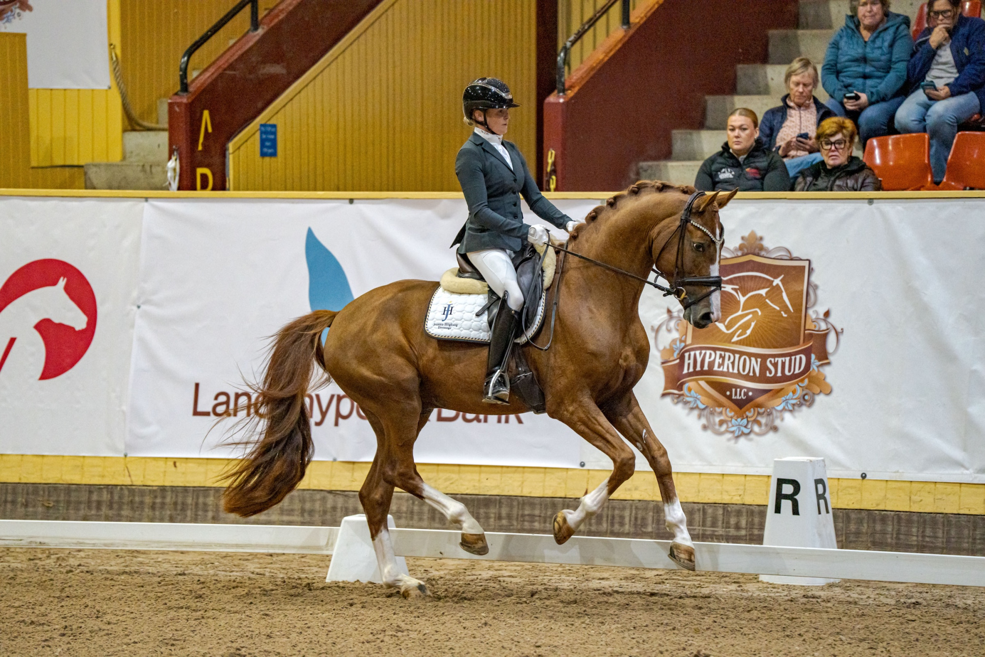 Swb Equestrian Weeks 2025