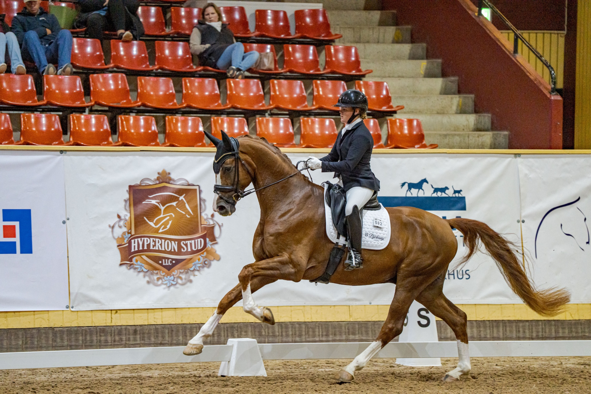 Swb Equestrian Weeks 2025