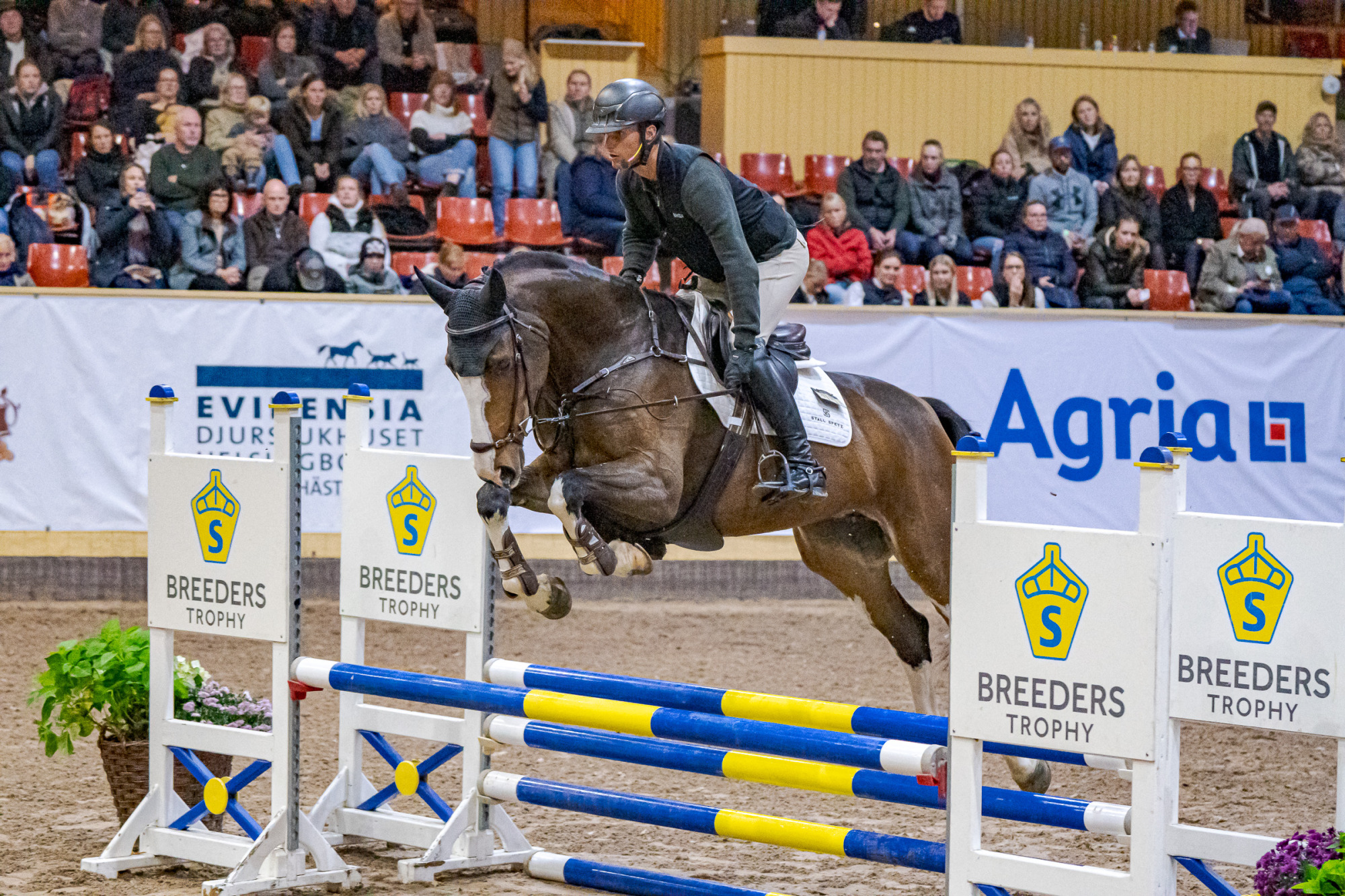 Linn H&ouml;rnvall Elza Dm (42)