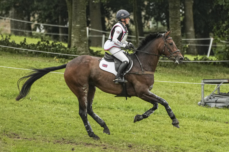 Lordships Graffalo – femstjärnig legendar