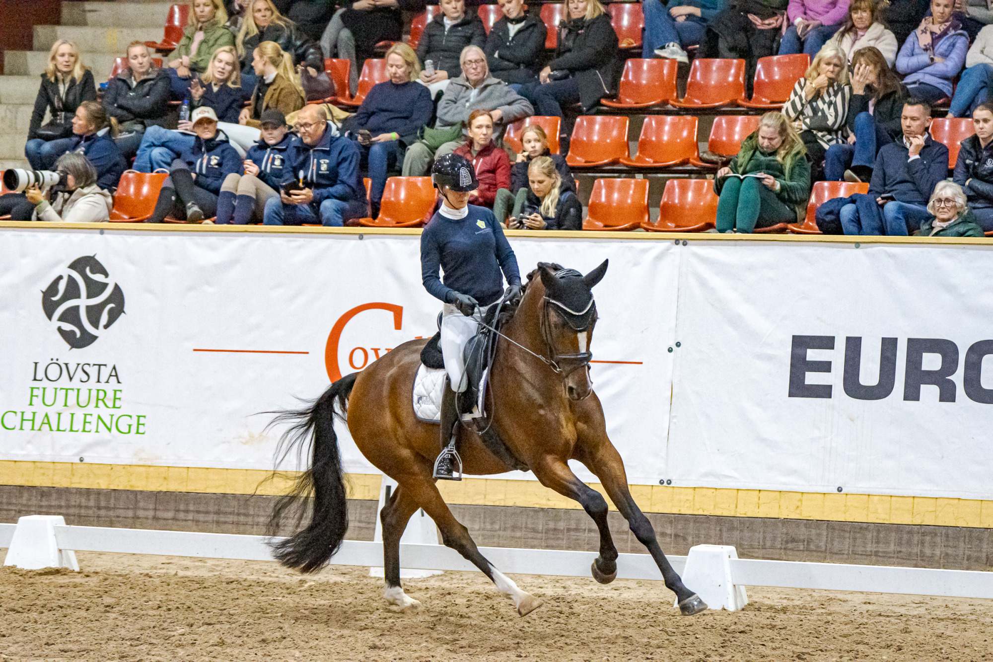 Swb Equestrian Weeks 2025