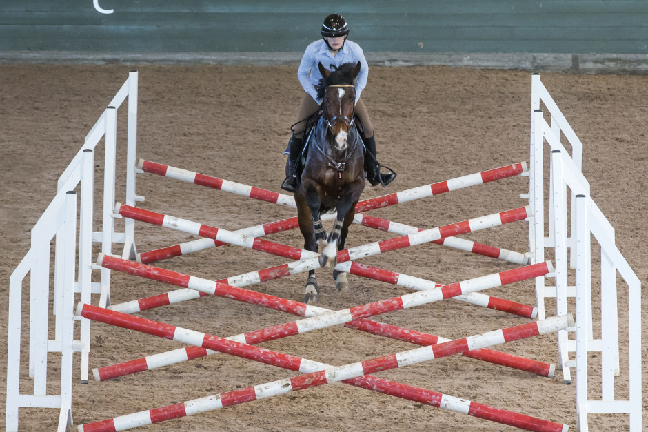 Catharina Hansson: ”Att bara jobba hårt räcker inte”