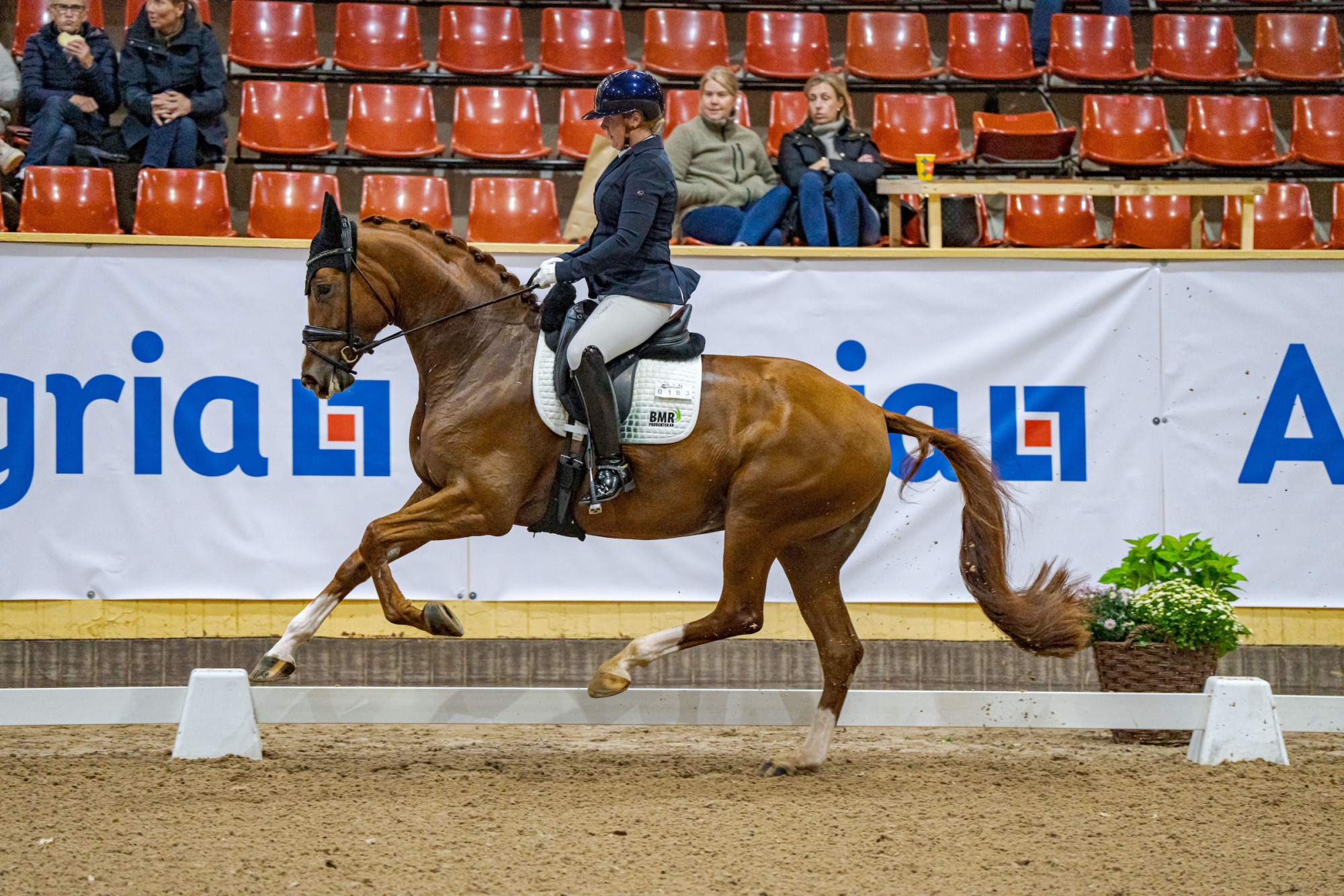 Swb Equestrian Weeks 2025