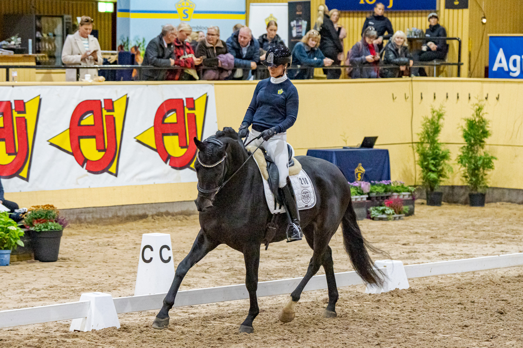 Jeanna Högberg Nådhammars Hera Lvst