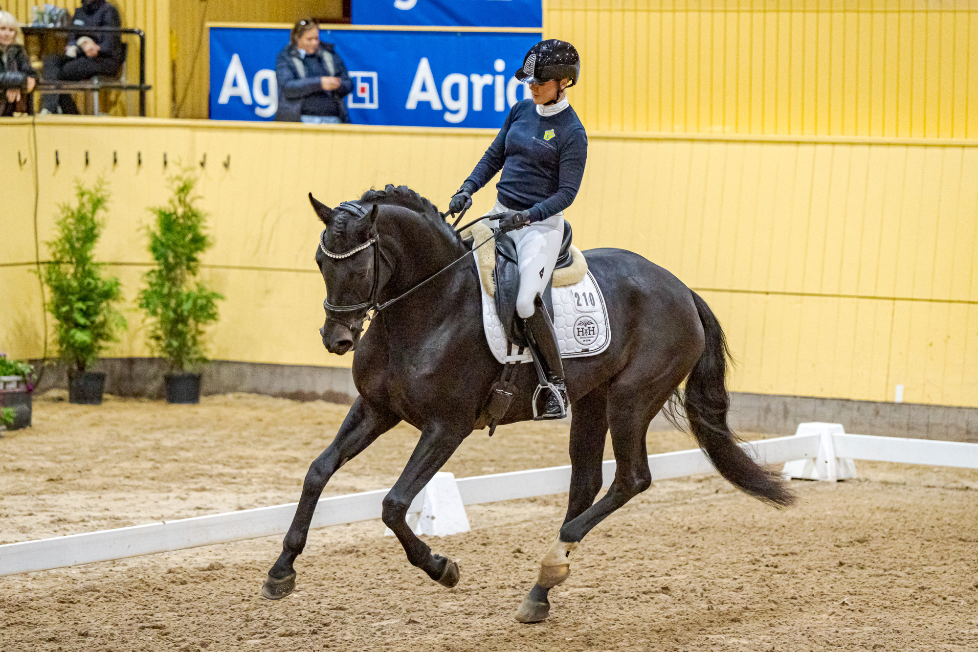 Jeanna Högberg Nådhammars Hera Lvst