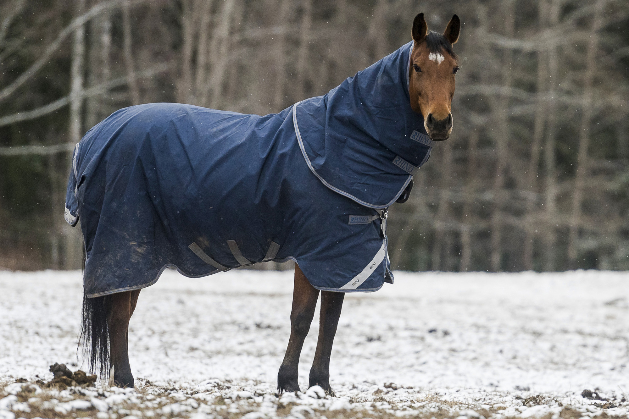 Rhinoridsport-tackestest-145