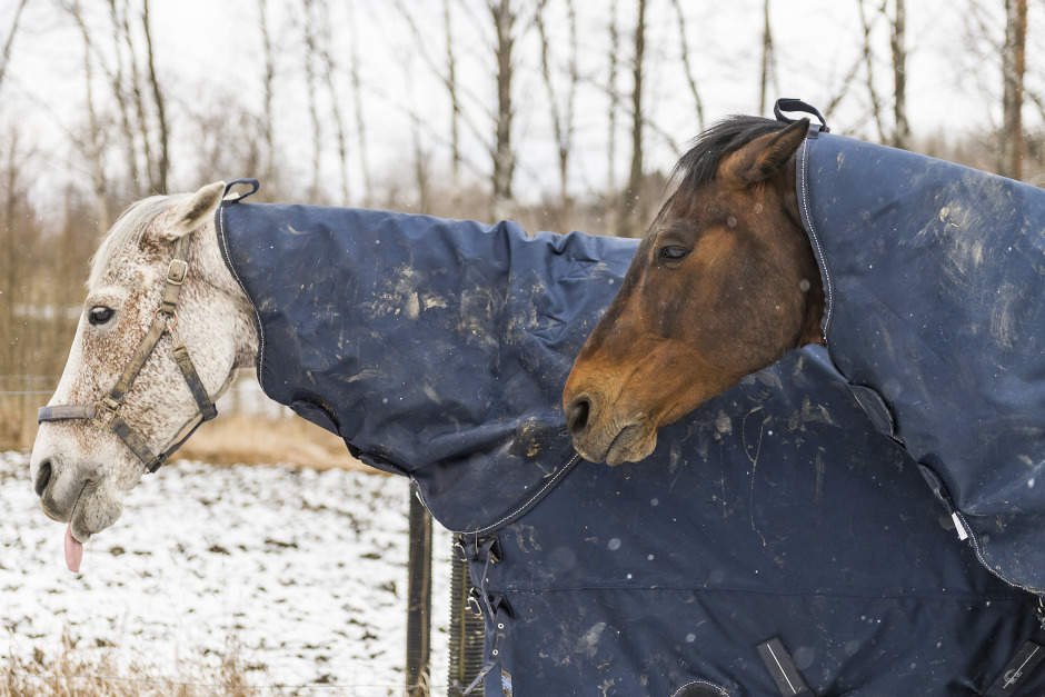 Värmande täcken i kylan