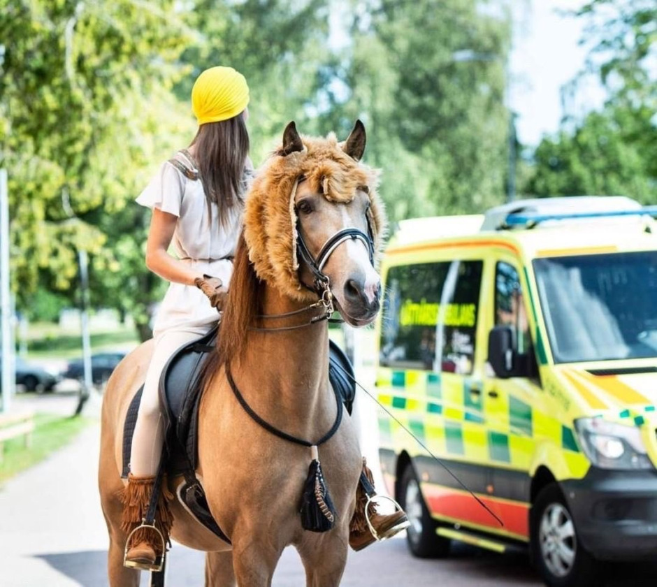 Sjukhushästen slutar besöka sjuka barn