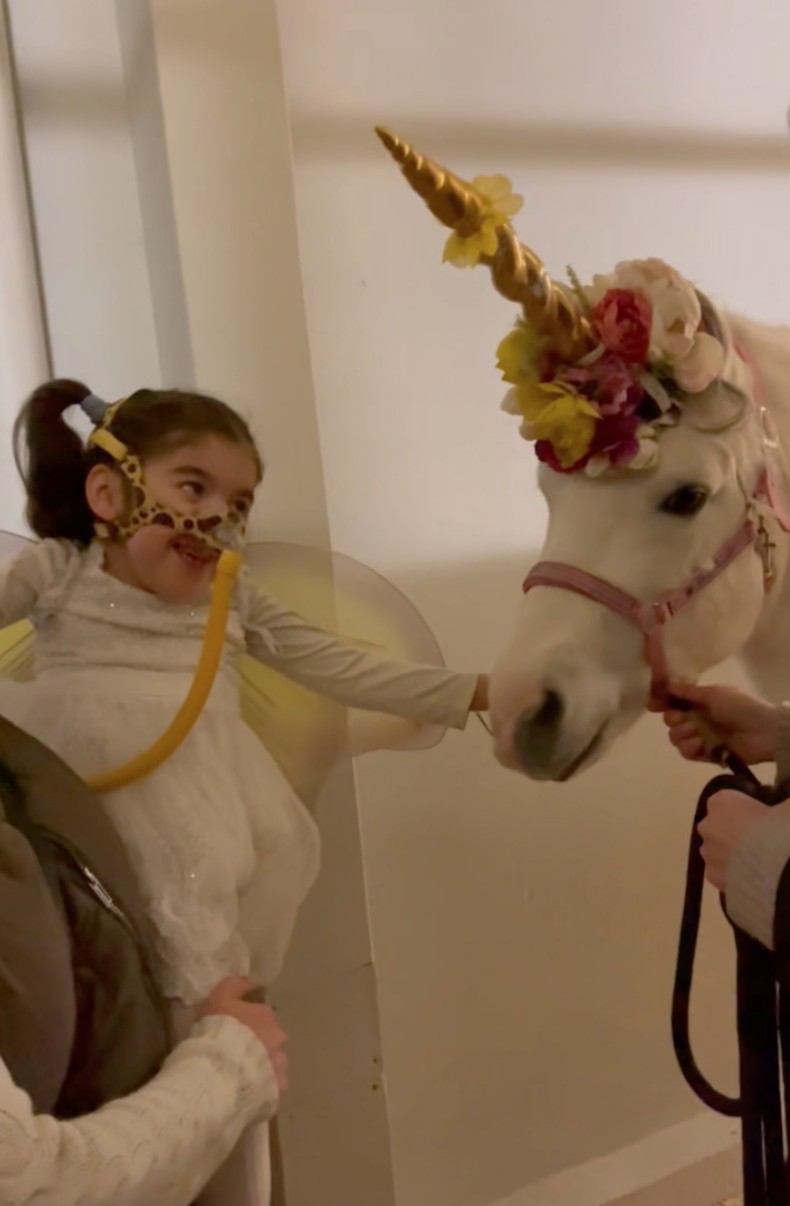 Snöboll Som Enhörning