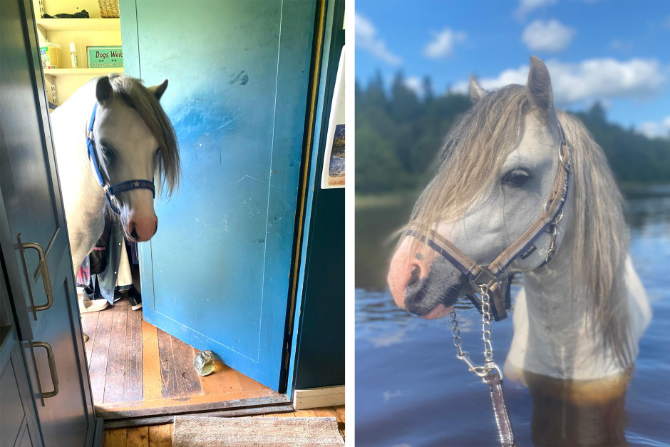 “Jag tror jag är ganska ensam om att ha gjort om ett gammalt torrdass till sadelkammare”