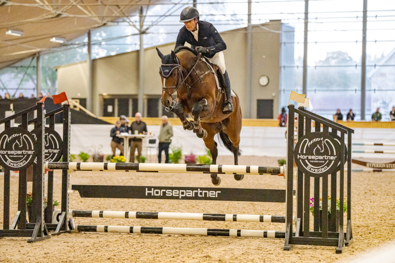 Hingstarna visade kvalitet i 4-årskvalet