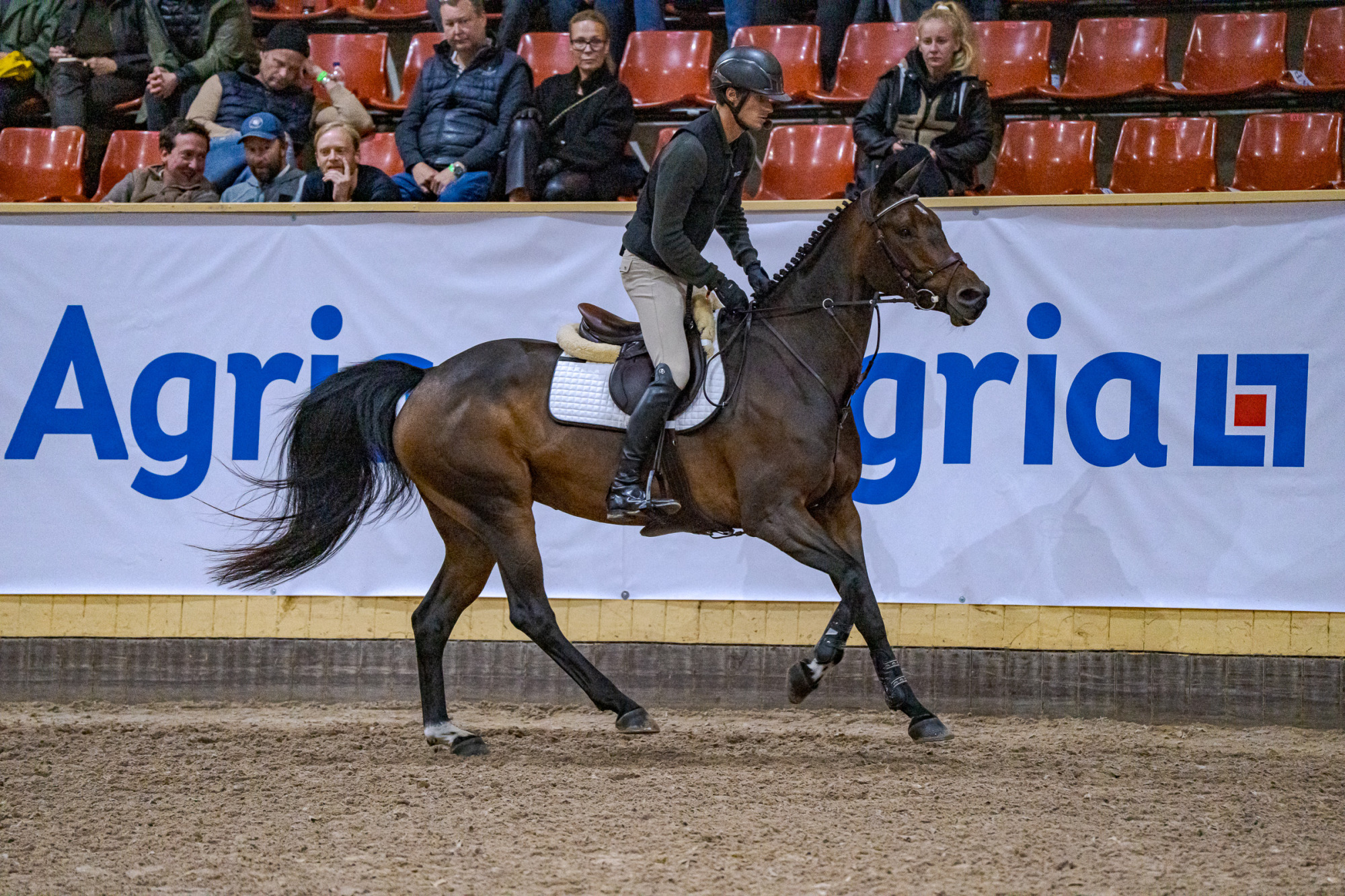 Tilde Weinerhall Miss Barla