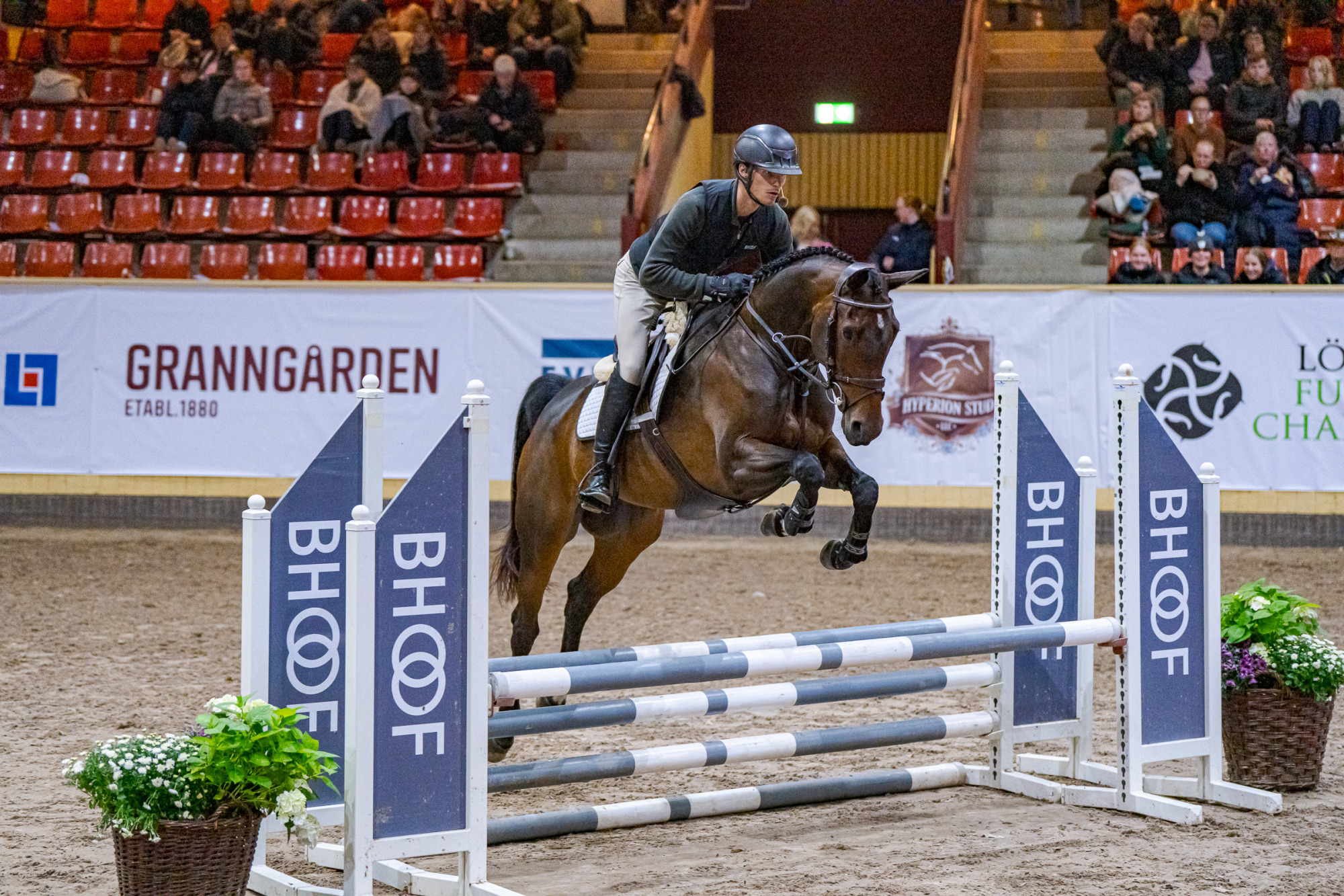 Tilde Weinerhall Miss Barla