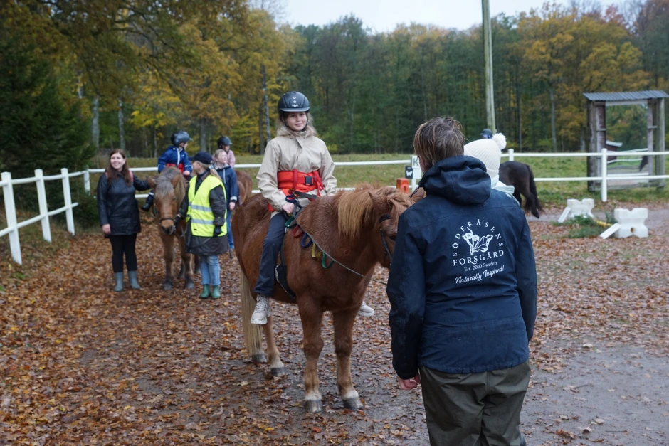 Hästar hjälper barn som flytt från Ukraina