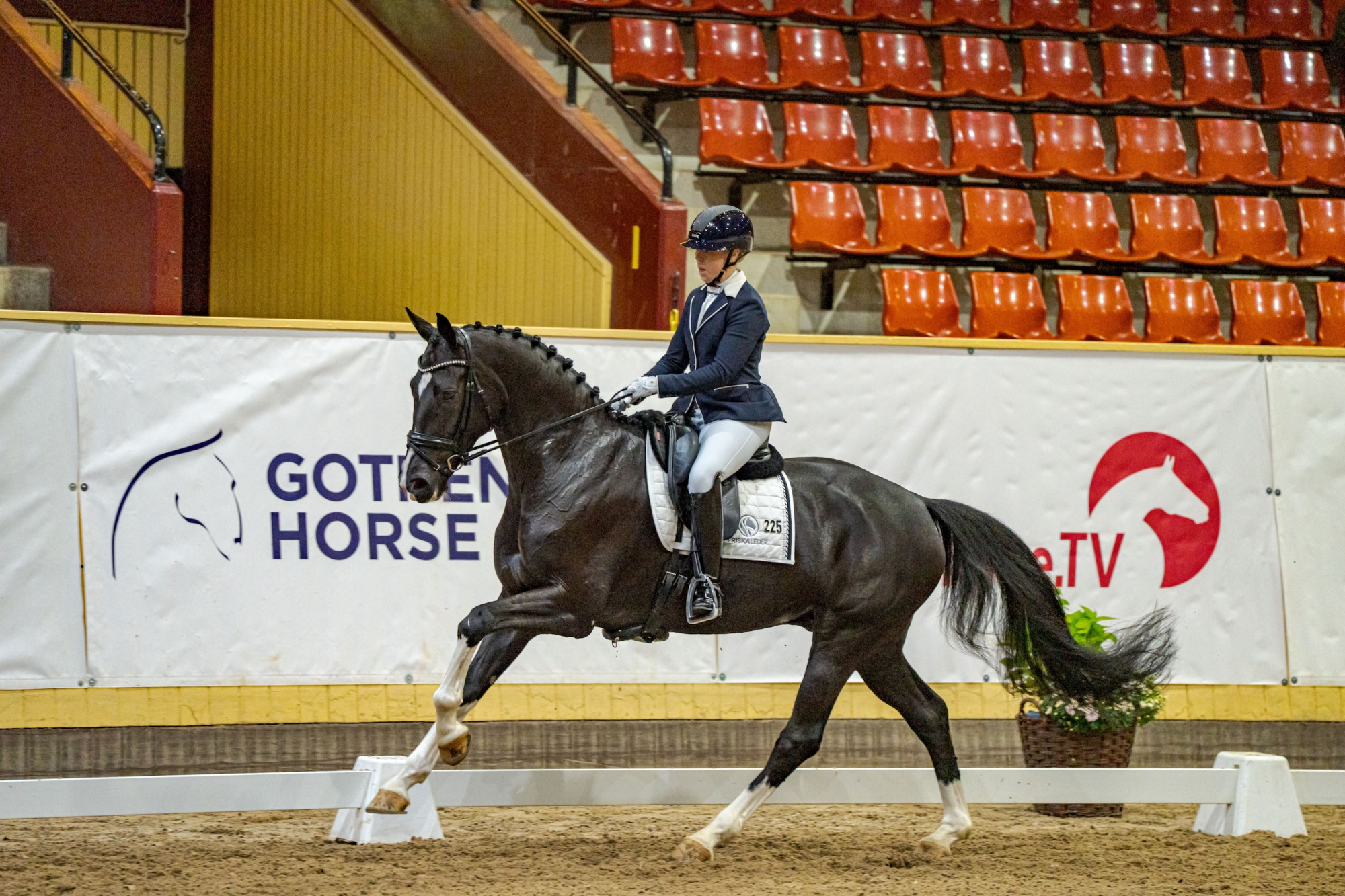 Swb Equestrian Weeks 2025