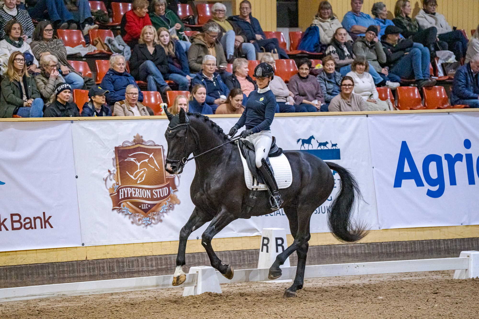 Swb Equestrian Weeks 2025