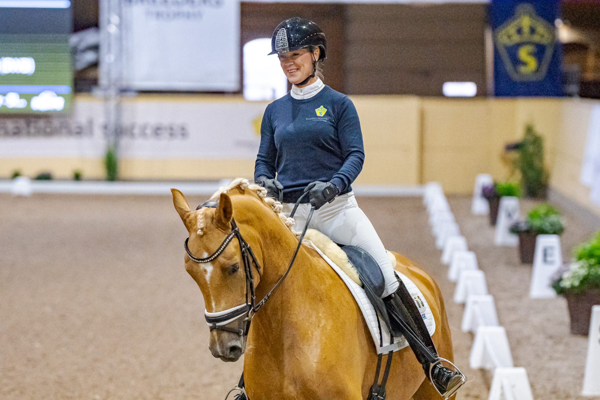 Swb Equestrian Weeks 2025