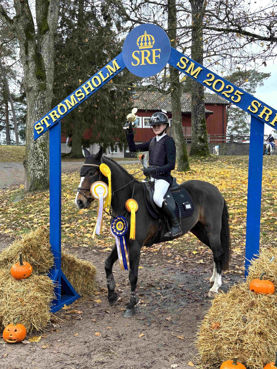 Ponnypappan: Nytt skrällguld och VFK:s bästa någonsin