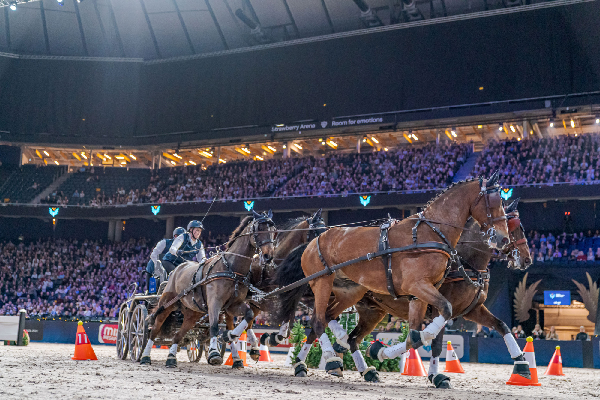 FEI World Cup Driving 2025 - Stockholm (SWE) Driver Anna Sandmann (GER) with horses in Stockholm: Neapolitano Nimrod / Bitang / Filemon / Dani / Ferry Beauty, third place at the FEI DRIVING WORLD CUP&trade; 2025/26 Stockholm (SWE), Strawberry Arena