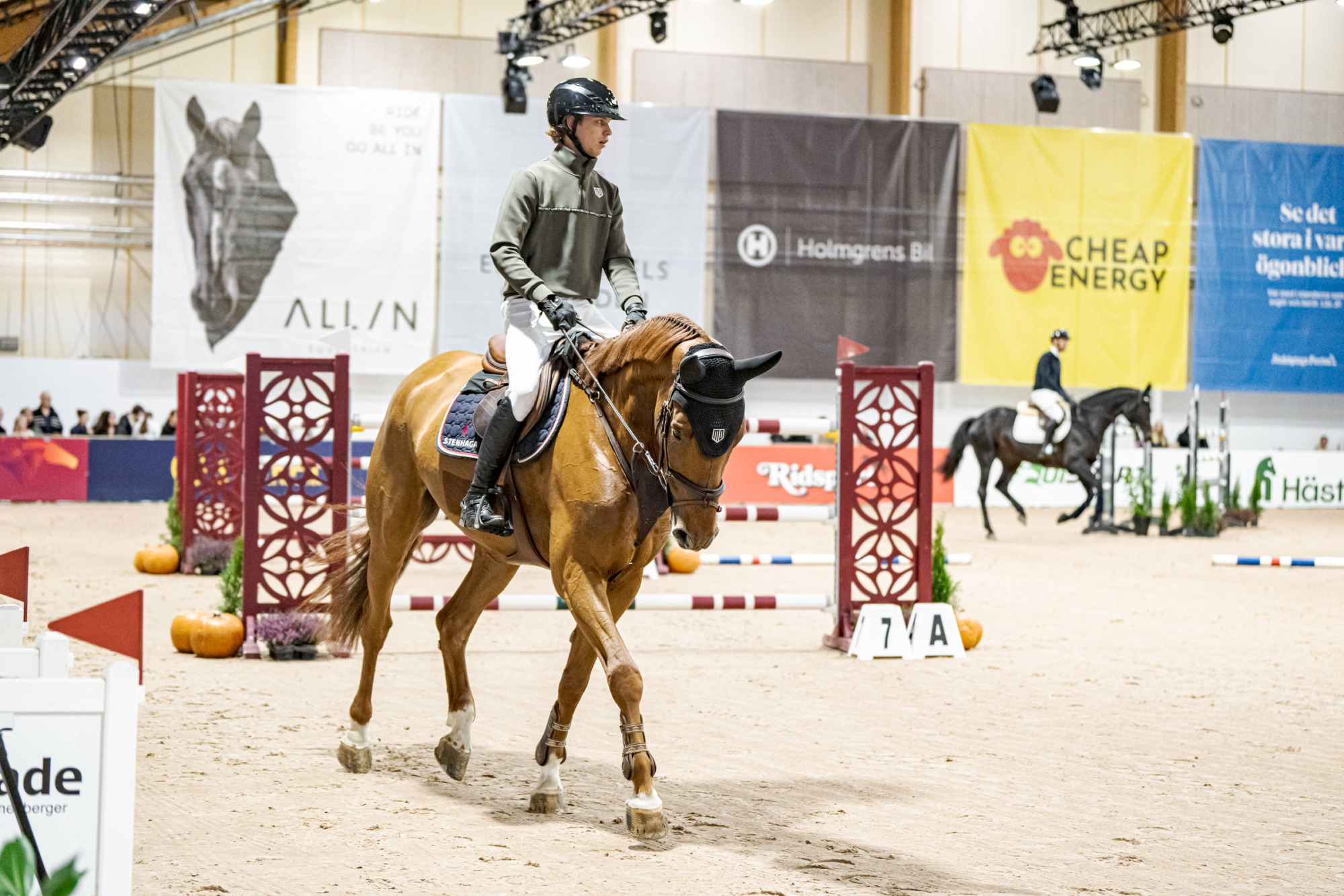 Andre Brandt Deuce Bigalow Max Z