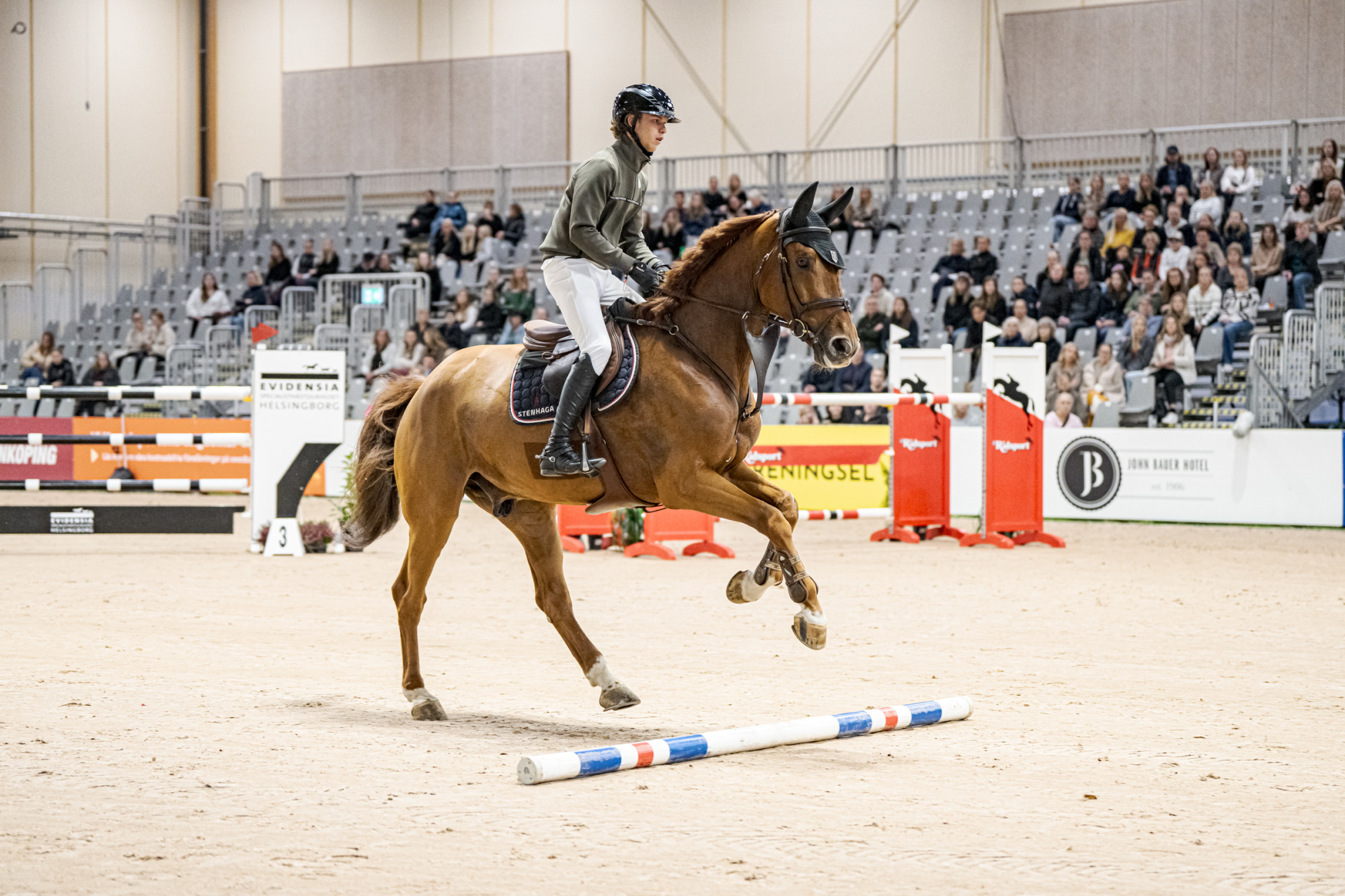 Andre Brandt Deuce Bigalow Max Z