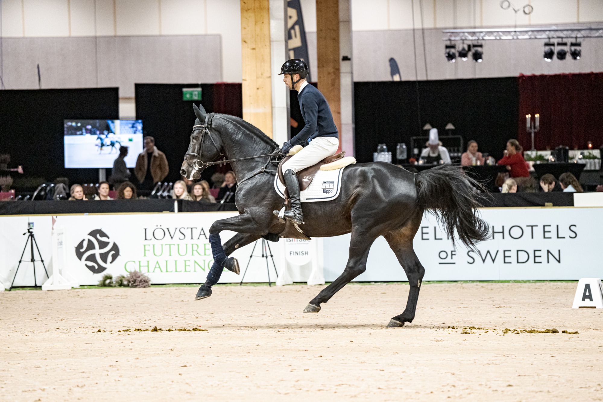 Björn Svensson Zino