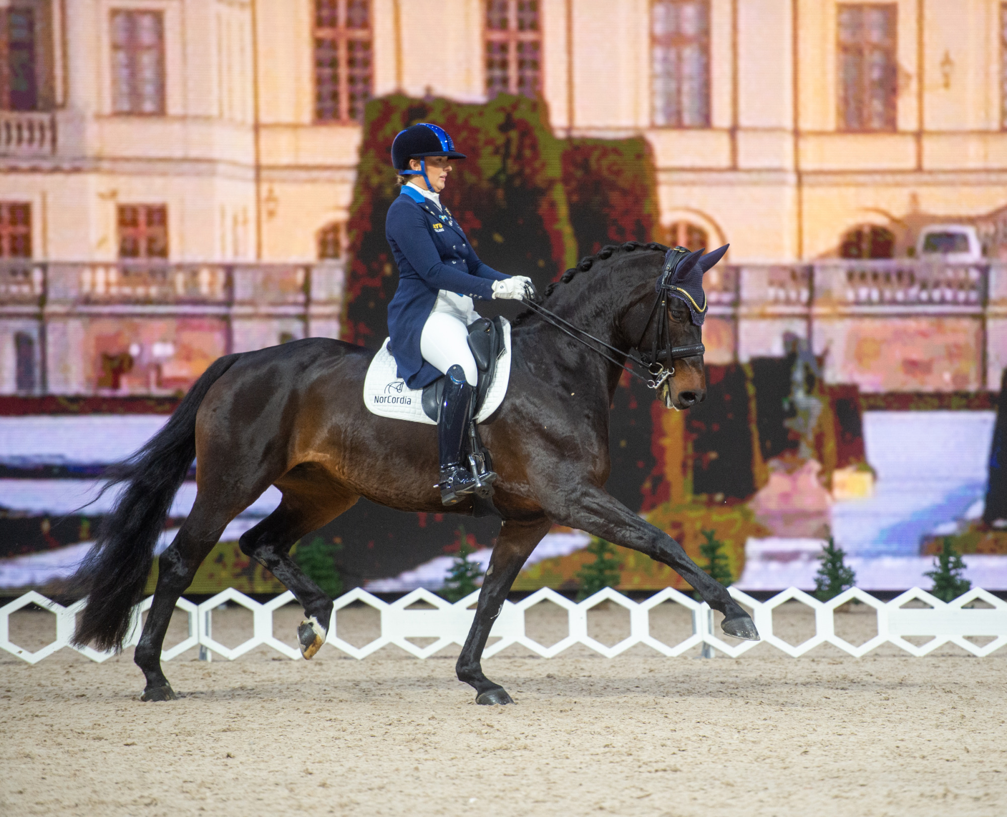 Cecilia_lordag-14
