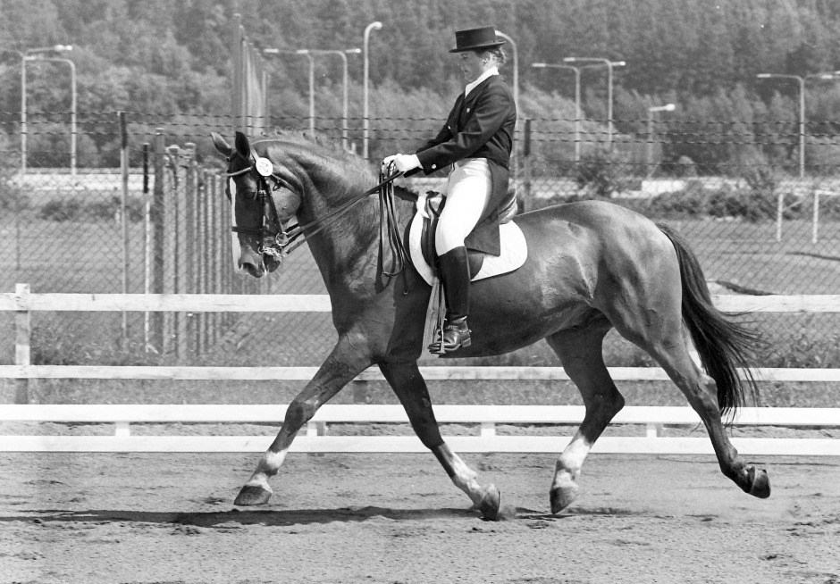 Schwedengang – vad var det egentligen?