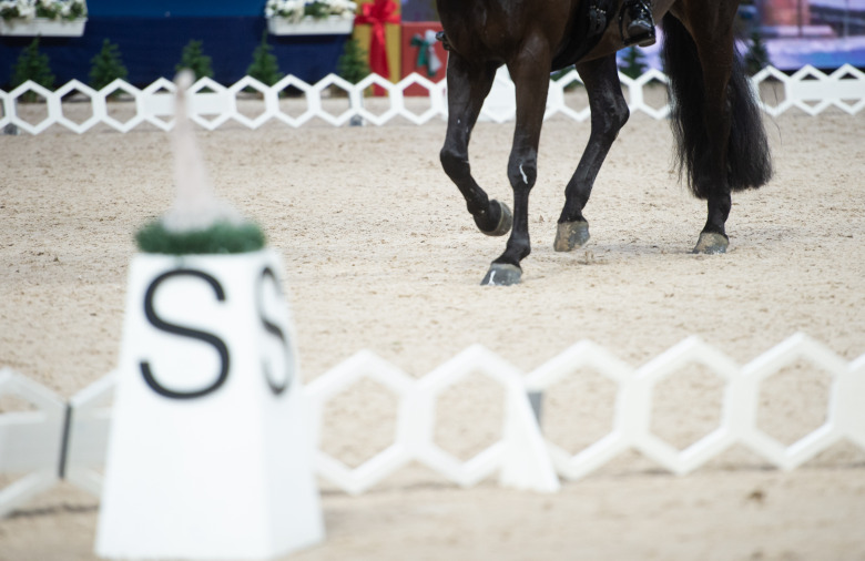 Ny bedömning i dressyr