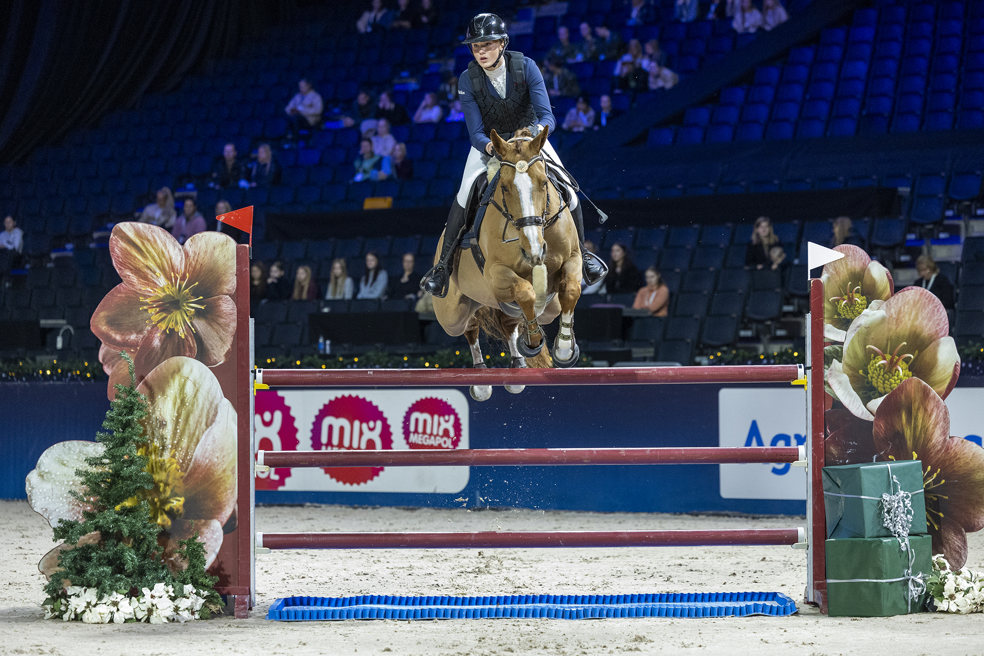 Elvir Aaby-ericsson-gloria De Beaufour 1 251127 Rt