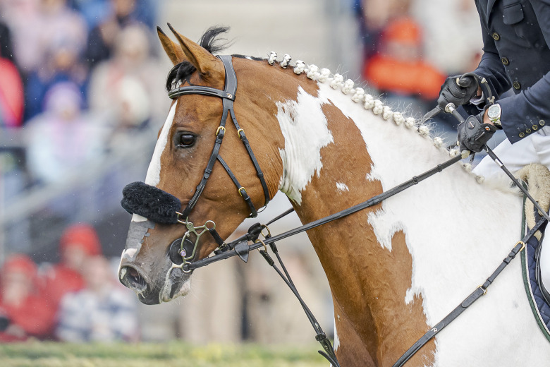 Ping Pong – talangfull skäck på väg uppåt
