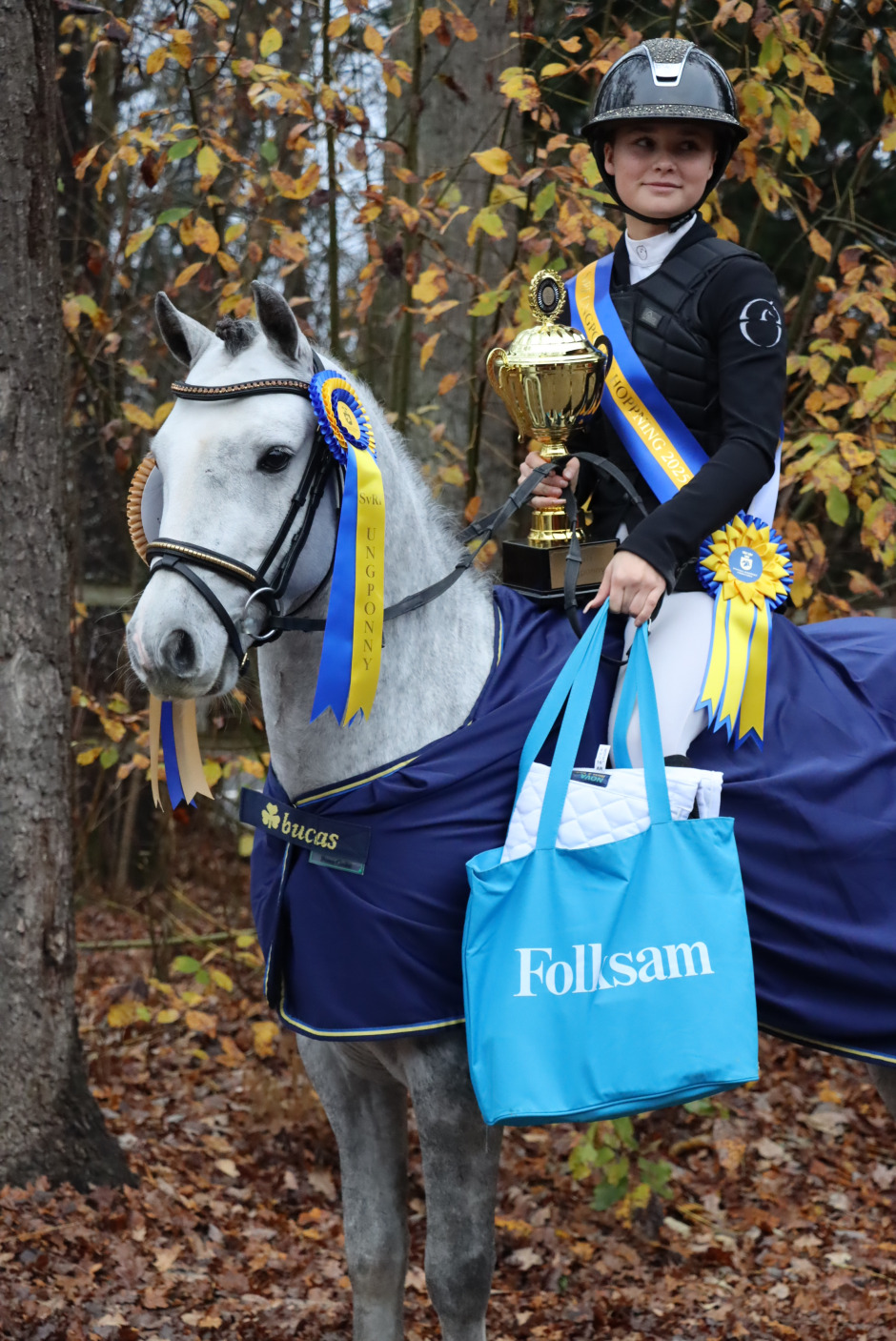 Femåriga ponnyer glänste i Strömsholms final – många felfria rundor