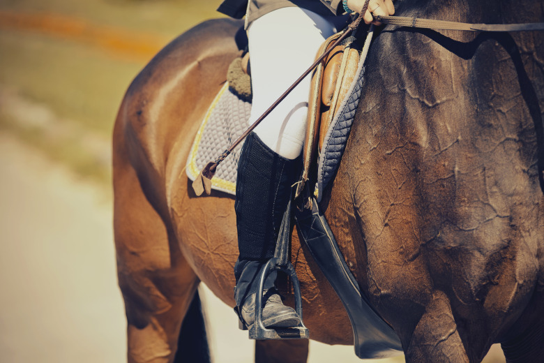 Tre månaders avstängning – “skadat ridsportens anseende”