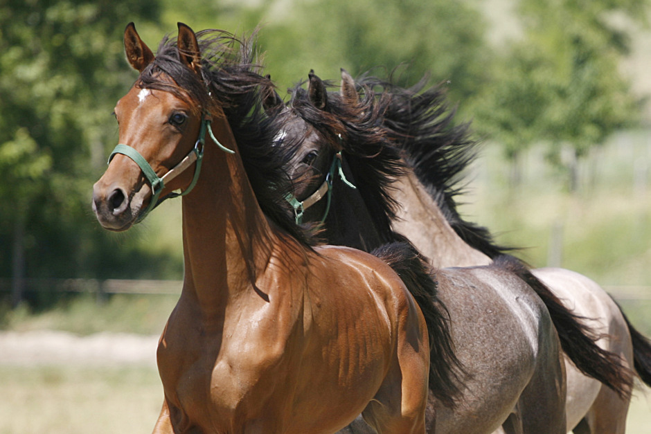 Forskningssvepet: Positiv miljö ökar inlärningen