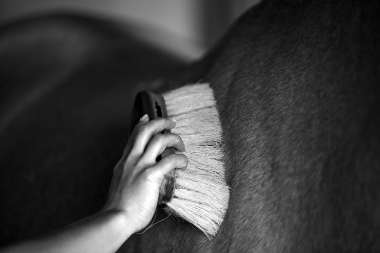 Ridklubb i ekonomisk kris