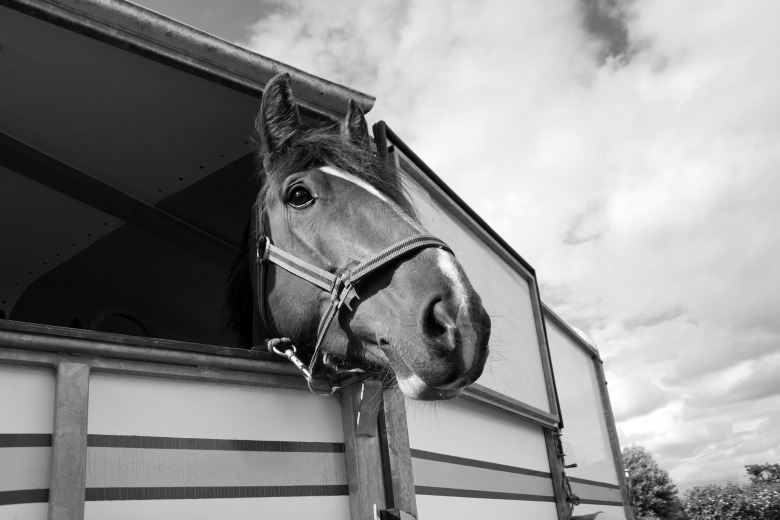 Nu blir det enklare att tävla i ytterligare ett land