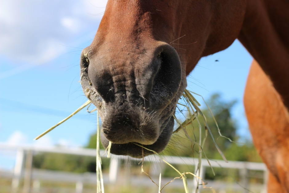 Kvarka konstaterad i Småland