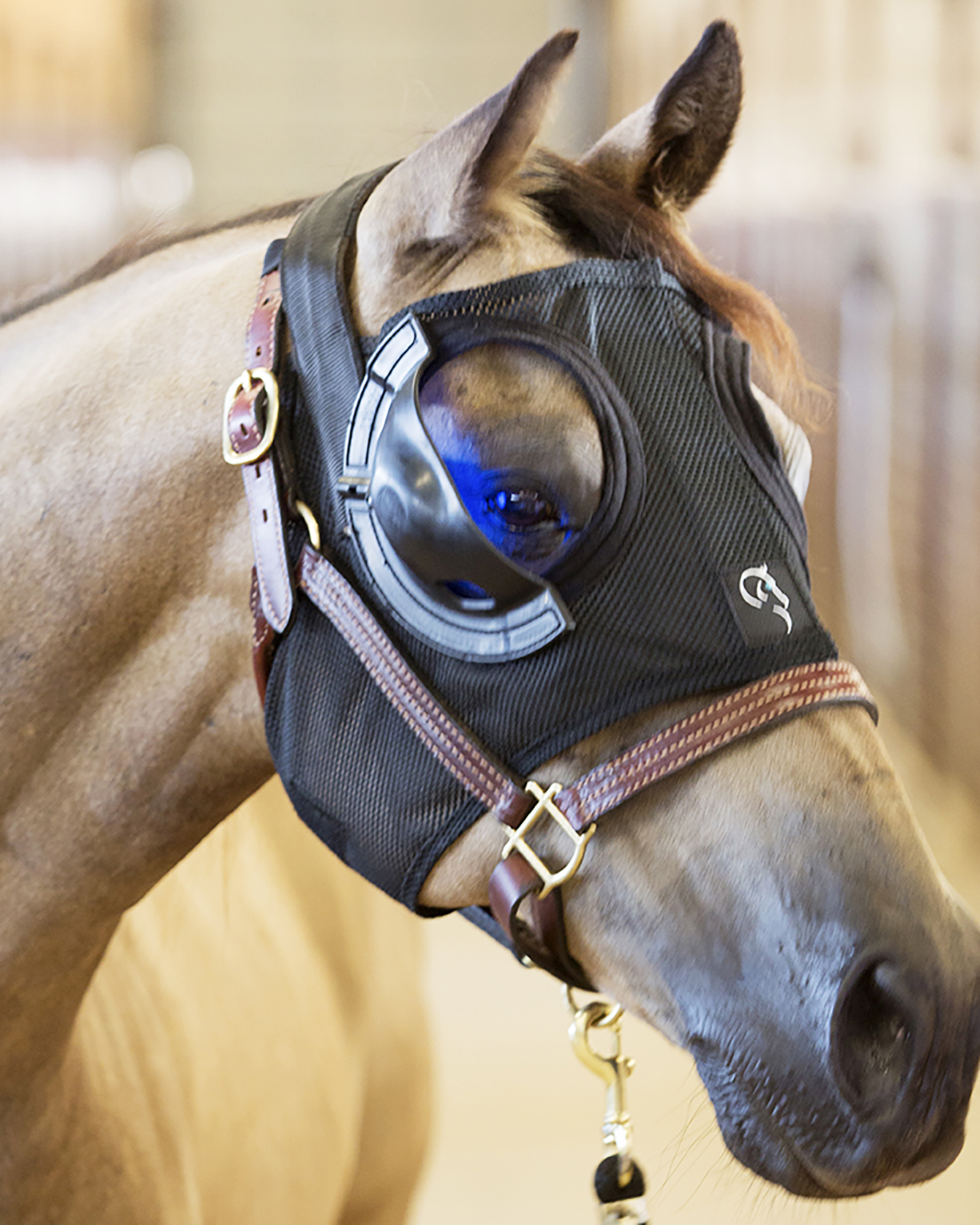 Ljusterapihuva Foto: Equilume P: 2018-01