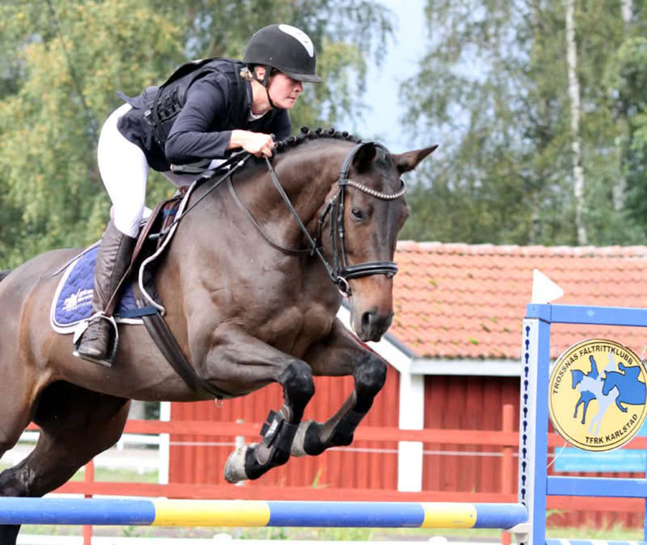 Ridlärarbloggen: Dit vi är på väg finns inga garantier